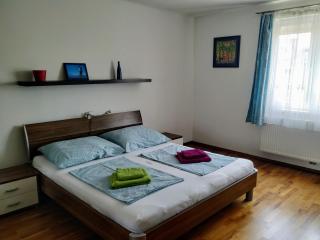 Family-friendly flat with balcony - Vienne - 6