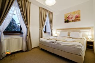 Villa Astra - Apartments & Restaurant - Oświęcim - 6