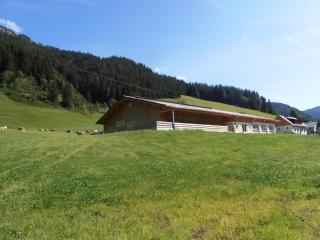 Huberbauer - 6