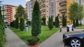 Brasov Kronstadt Garden Studio - 8