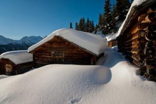 Brandhof Lodge - 1