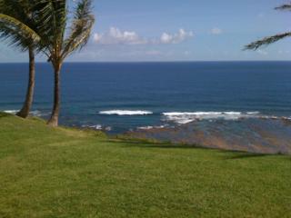 Princeville Sealodge Unit D-4 - Princeville - 5