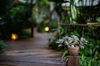 The Twenty Lodge - Chiang Mai - 1