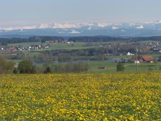 Ferienhaus Brunnenweiher - Kißlegg - 6