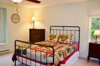 Mt. Maplewood Lake House Apt. - Blakeslee - 5