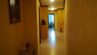 APARTAMENTO VISTAS DE ICOD - Icod de los Vinos - 2