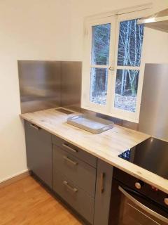 Cottage du lac de Chaumeçon avec étang privé - Brassy - 1