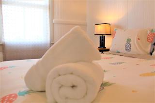 NEW - Pineapple Loft - Entire House Downtown Hilo with AC - Hilo - 5