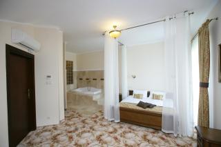 Hotel Atena Wedding, Business & Spa - Ciechanów - 2
