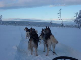 Gästhus Nornäs - 3