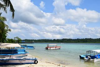 Sundaze Beach Resort - Havelock Island - 3
