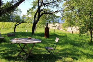 Ferienwohnungen Sonnenberg - Ratsch an der Weinstraße - 5