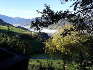 Landhaus Katharina - Bischofshofen - 8