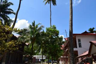 Sundaze Beach Resort - 7