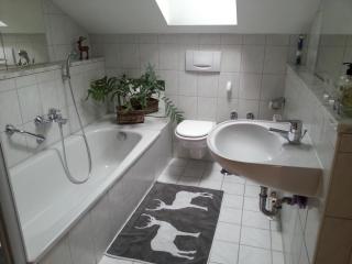 Ferienwohnung Steger - 4