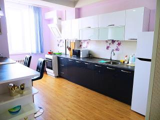 Panoramic studio apartments with mountain views - Bishkek - 8
