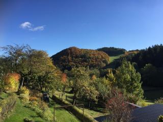 Modern Holiday Home in Deifeld with Private Garden - Medebach - 3