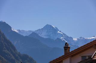Harder Apartment - Aare Jungfrau AG - Wilderswil - 8