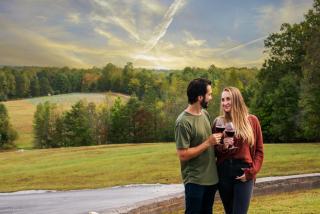 Dahlonega Resort and Vineyard - Dahlonega - 4