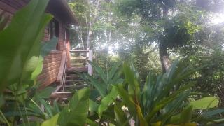 Santa Cruz Cabins - Santa Elena - 2