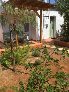The House with the garden - 8