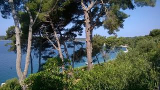 Studio Tina2683 - Mali Lošinj - 6