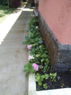 Chalé da Paz - Penedo - 4