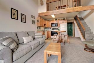 Dd402E Buffalo Village Studio Condo - 5