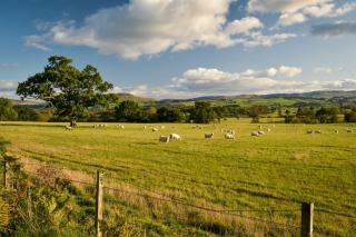 Cardross Holiday Cottages - Arnprior - 1