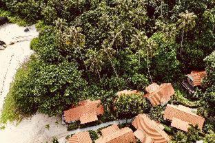Adang Island Resort - 4