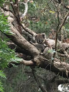 Houghton Stone Villa - 7