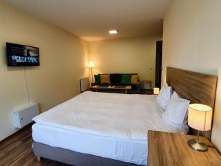 Studio Mountain View - Sinaia - 5