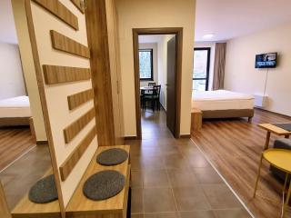 Studio Mountain View - Sinaia - 0