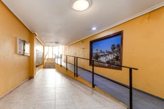 Estudio Joven Pura - Torrevieja - 2