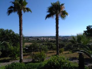 B&B Villa Le Palme Scalea - Scalea - 8