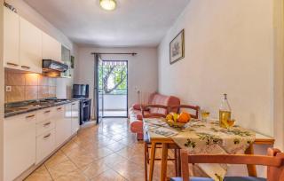 House Mocibob - Tar - 2