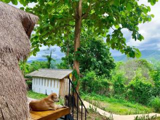 Pai Yard Guest House - Pai - 3