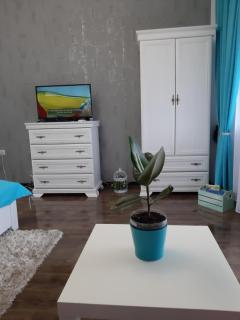 Apartment Zorana-Center - 4
