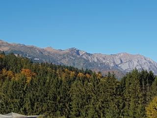 Studio Mountain View - Sinaia - 8