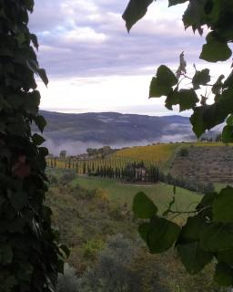 Camere e Appartamenti Baldini Romanita - Radda in Chianti - 1