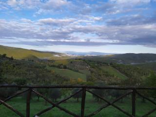 Camere e Appartamenti Baldini Romanita - 3