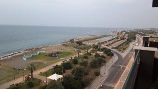 Rosa di mare - Bari - 6