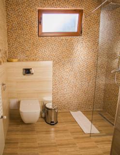 Villa Boutique ARNICA - Braşov - 8
