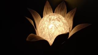 da Rosemarie - Levico Terme - 6