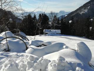 Karrerhof - Walchsee - 6