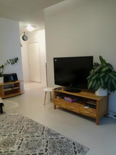 Apartment Mikkelissä, Silvasti - 1