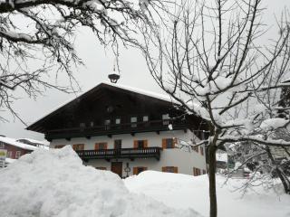 Karrerhof - Walchsee - 9