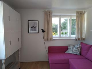 Apartment Haarlem Gosau - Gosau - 2