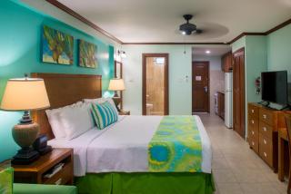 Yellow Bird Hotel - Christ Church - 5