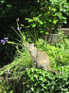 L'Ecrin de Pradou Glaz - 3